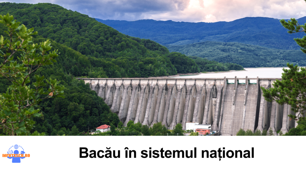 Top licee Bacau - Bacau in sistemul national