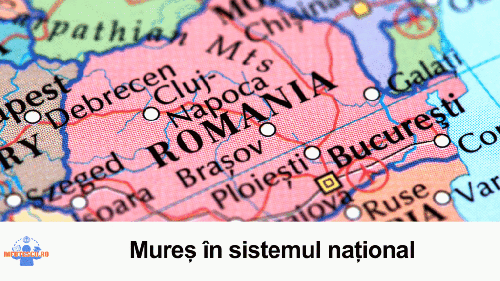 Top licee Mureș: context Mures in sistemul national